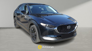 foto standard